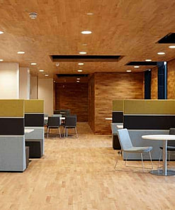 Junckers 2-Strip Beech Sylvaket Flooring