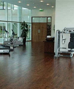 Junckers 2-Strip Beech Wild Hazel Flooring