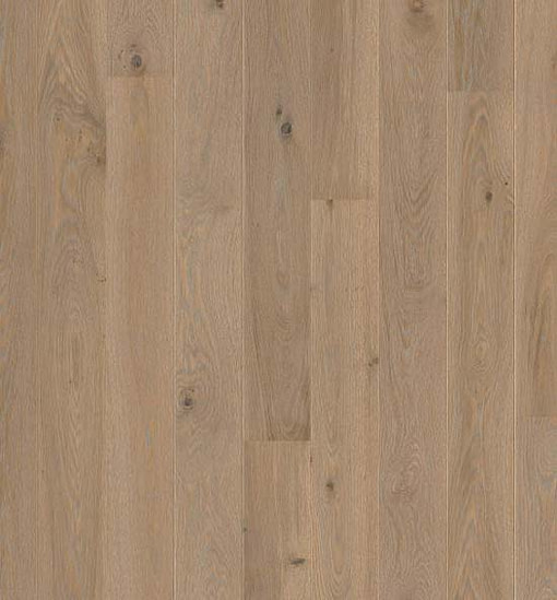 Boen Plank Oak Warm Grey Live Pure Lacquer 138mm Flooring PKG843FD